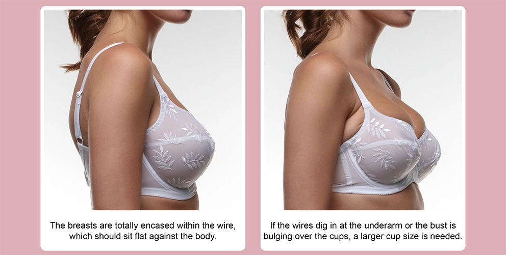 The breasts are totally encased within the wire, which should sit flat against the body. If the wires dig in at the underarm or the bust is bulging over the cups, a larger cup size is needed.